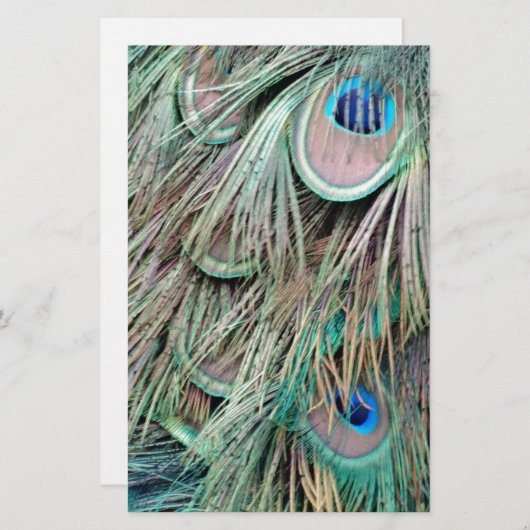 自然な孔雀は柔らかい羽を注目します 便箋 (正面/裏面)