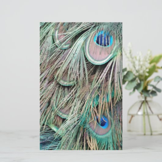 自然な孔雀は柔らかい羽を注目します 便箋 (スタンド正面)