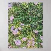 自然な庭園の紫の野生の花 ポスター (正面)