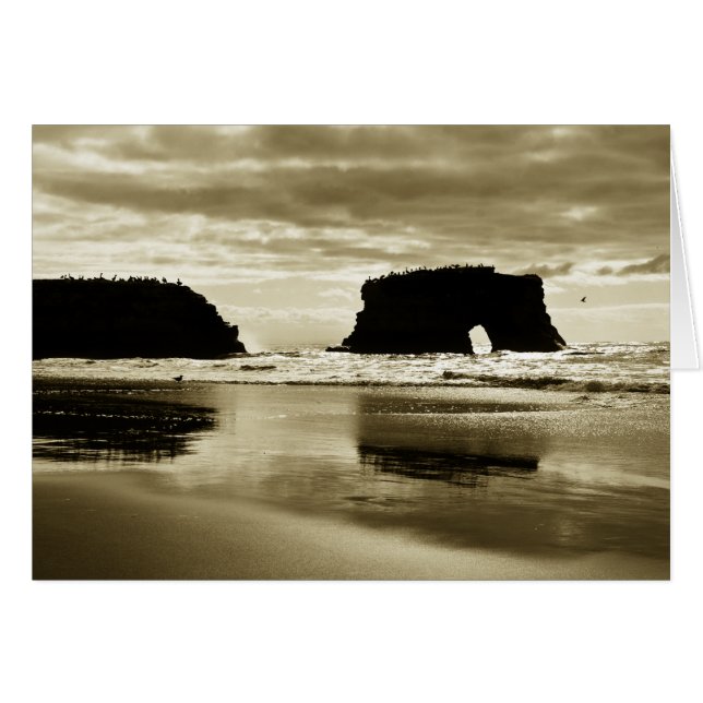 自然な橋州ビーチ (正面横)