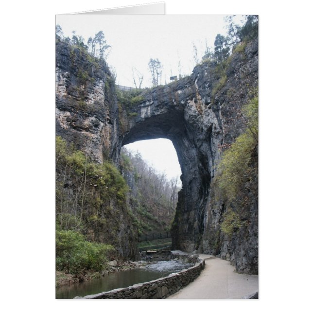 自然な橋VA (正面)