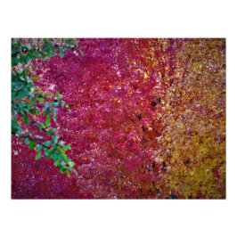 自然な活気 フォトプリント           