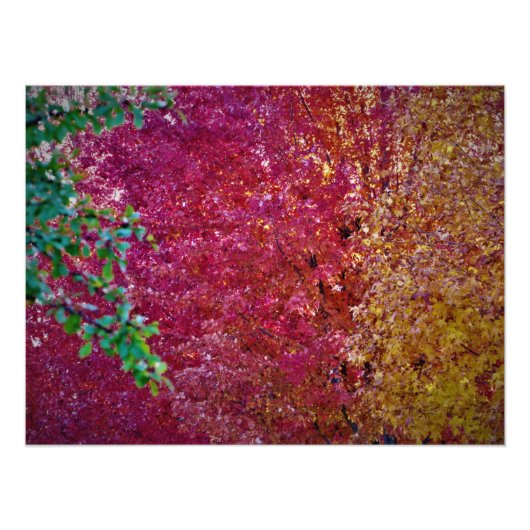 自然な活気 フォトプリント            (正面)