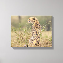 自然な環境でチート包まれたー キャンバスプリント