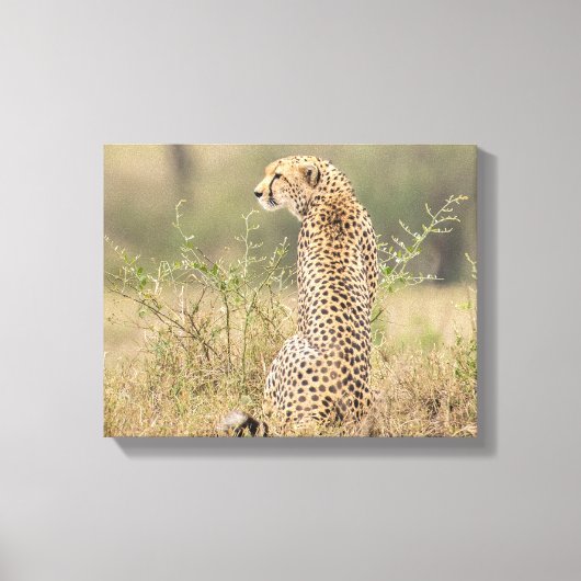 自然な環境でチート包まれたー キャンバスプリント (正面)