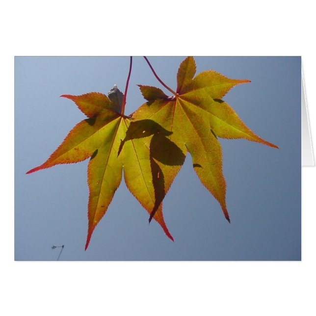 自然な金ゴールド (正面横)