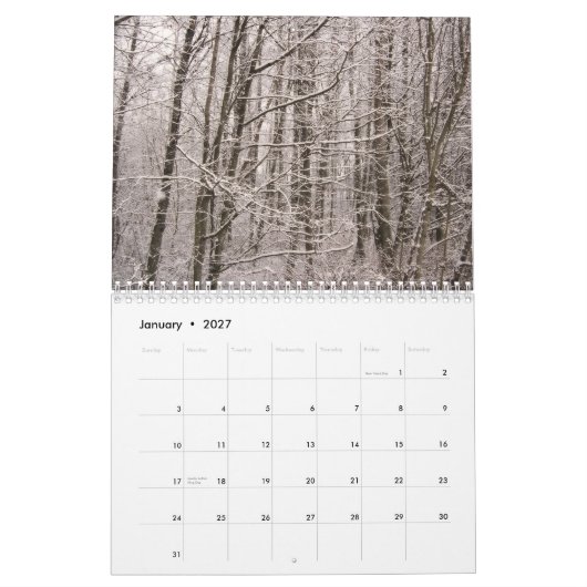 自然な驚異2010のカレンダー カレンダー (1月 2027)