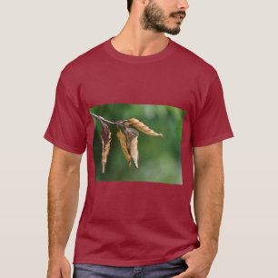 自然にインスパイアされた葉のプリントTシャツ Tシャツ