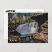 自然に焦点を合わせる – ノルウェー ポストカード (正面/裏面)