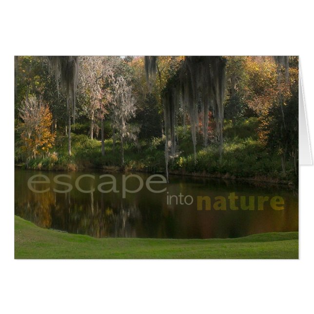 自然に脱出して下さい (正面横)