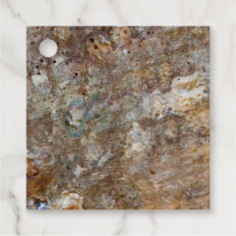 自然のごつごつした岩浜の貝殻 夏の雰囲気 フェイバータグ