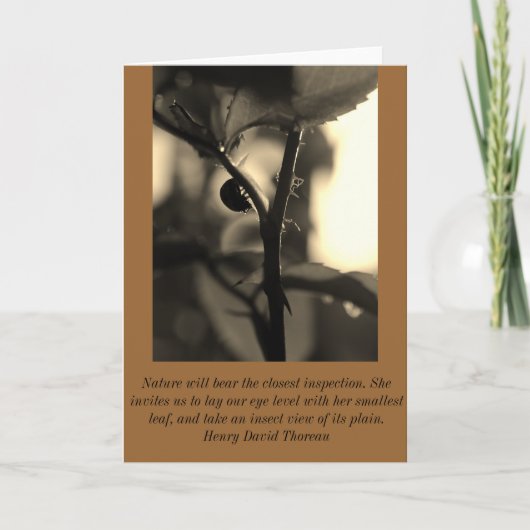 自然のてんとう虫が付いている刺激を受けたな挨拶状 カード (正面)