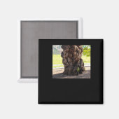 自然のでこぼこの木のシール マグネット (正面/裏面)