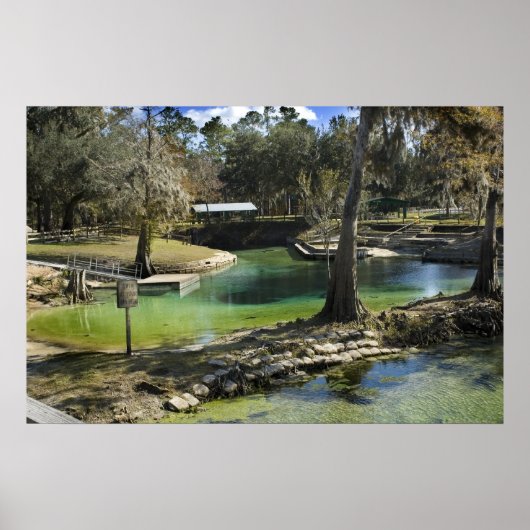 自然のままの春インウィンタープリント ポスター (正面)