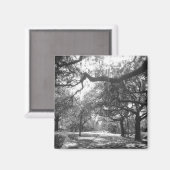 自然のアーバー マグネット (正面/裏面)