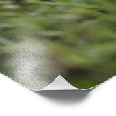 自然のインスピレーションやる気を起こさせるカスタム フォトプリント            (角)