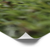 自然のインスピレーションやる気を起こさせるカスタム ポスター (コーナー)