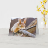 自然のインスピレーション とても快適なリス カード (黄色い花)