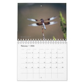 自然のカレンダーの創造物 カレンダー (2月 2026)