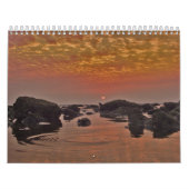 自然のカレンダー2008年 カレンダー (カバー)