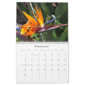 自然のカレンダー カレンダー (2月 2027)