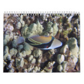 自然のカレンダー カレンダー (カバー)