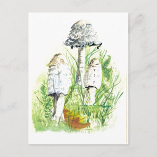 自然のキノコ – Water Color Art ポストカード