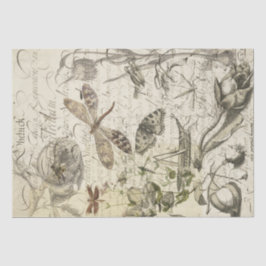 自然のコラージュ 薄葉紙