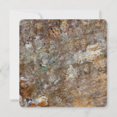 自然のゴツゴツした岩浜の貝殻 夏のような 招待状 (裏面)