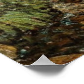 自然のセラピーエンネキングズ落ち着くマス池 ポスター (角)