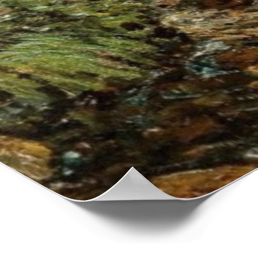 自然のセラピーエンネキングズ落ち着くマス池 ポスター (角)