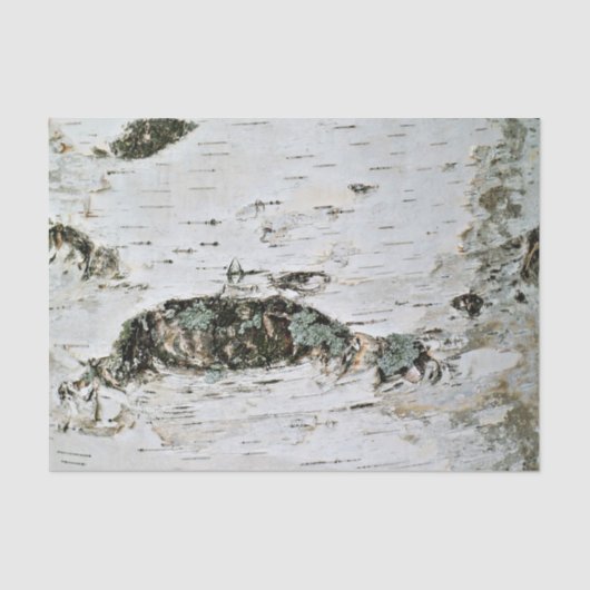 自然のティッシュペーパーの樺の木木 薄葉紙 (正面)