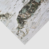 自然のティッシュペーパーの樺の木木 薄葉紙 (詳細)