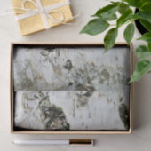 自然のティッシュペーパーの樺の木木 薄葉紙 (ギフト)