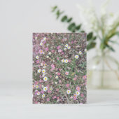 自然のデイジーとピンクの花|過去記事 ポストカード (スタンド正面)