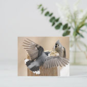 自然のバレエ – 羽の踊り ポストカード (スタンド正面)