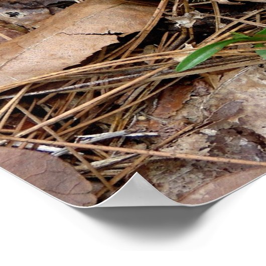 自然のバレンタインモスハートポスター ポスター (角)