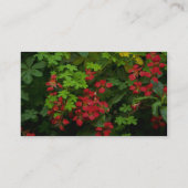 自然のパターン 名刺 (裏面)