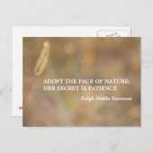 「自然のヒント」写真アートと引用文 ポストカード (正面/裏面)