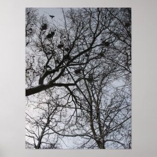 自然のフラクタル: Crows Photo Poster Art ポスター