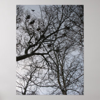 自然のフラクタル： Crows Photo Poster Art ポスター