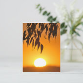 自然のフレーム ポストカード (スタンド正面)