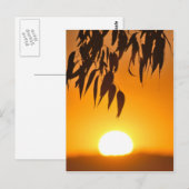 自然のフレーム ポストカード (正面/裏面)