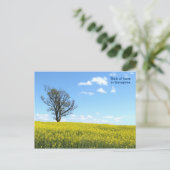 自然のポストカード ポストカード (スタンド正面)