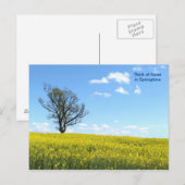 自然のポストカード ポストカード (正面/裏面)