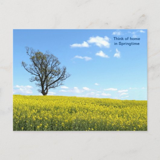 自然のポストカード ポストカード (正面)