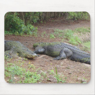 自然のマウスパッド マウスパッド