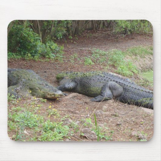 自然のマウスパッド マウスパッド (正面)