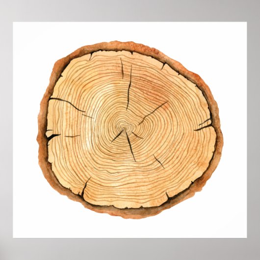 自然のリングや輪：木のテクスチャの勝利 ポスター (正面)