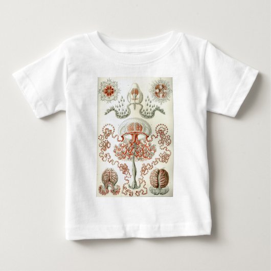 自然のヴィンテージエルンスト・ヘッケルAnthomedusaeの芸術 ベビーTシャツ (正面)